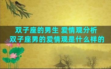 双子座的男生 爱情观分析 双子座男的爱情观是什么样的